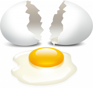 broken-egg-illustration